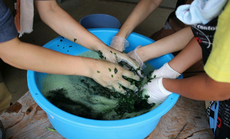 香川県高松市の薬効のある植物で染める草木染教室、草木染手織袖なら育工房草木染体験会